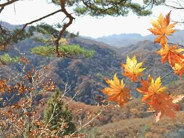 富平县内招聘最新消息/富平招聘实时公告